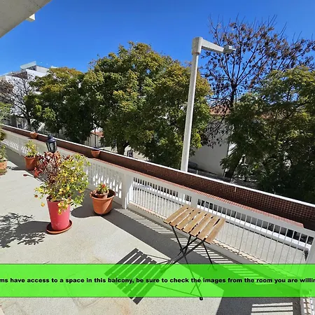 Blife Luya Private Homestay Faro